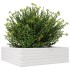 Jardinera de madera maciza de pino blanca 80x80x23