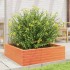 Jardinera de madera maciza pino marrón cera 80x80x23