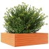Jardinera de madera maciza pino marrón cera 80x80x23