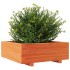 Jardinera de madera maciza de pino marrón cera 70x70x26,5