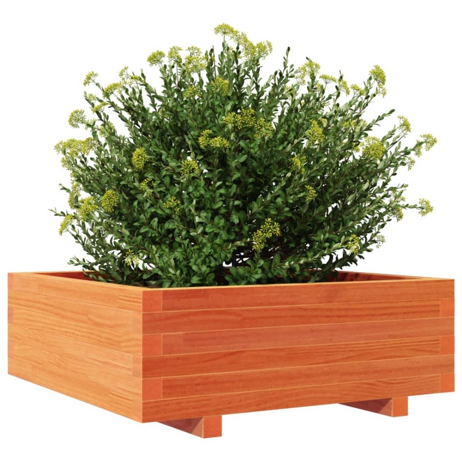 Jardinera de madera maciza de pino marrón cera 70x70x26,5