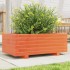 Jardinera de madera maciza de pino marrón cera 70x40x26,5