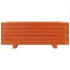 Jardinera de madera maciza de pino marrón cera 70x40x26,5