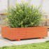 Jardinera de madera maciza de pino marrón cera 90x60x26,5