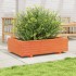 Jardinera de madera maciza de pino marrón cera 90x60x26,5