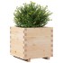 Jardinera madera maciza de pino 50x50x49,5