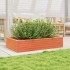 Jardinera madera maciza de pino marrón cera 110x60x23
