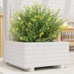 Jardinera de madera maciza de pino blanco 50x50x26,5 cm