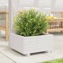Jardinera de madera maciza de pino blanco 50x50x26,5