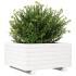 Jardinera de madera maciza de pino blanco 50x50x26,5