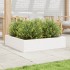 Jardinera madera maciza de pino blanco 100x100x23