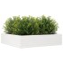 Jardinera madera maciza de pino blanco 100x100x23