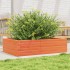 Jardinera madera maciza de pino marrón cera 90x60x23