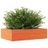 Jardinera madera maciza de pino marrón cera 90x60x23