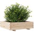 Jardinera de madera maciza de pino 90x90x26,5