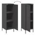 Aparador de acero negro 36x39x113