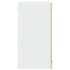 Armario colgante cristal y aglomerado roble sonoma 80x31x60