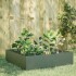 Arriate de acero verde oliva 100x100x25