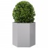 Jardineras hexagonales 2 uds acero inoxidable 46x40x45