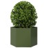 Jardinera hexagonal de acero verde oliva 69x60x45