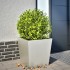 Jardinera de acero inoxidable 50x50x50