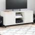 Mueble de TV acero blanco 100,5x39x43,5