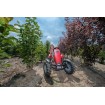 Kart de pedales Berg Case IH BFR