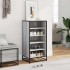 Mueble zapatero madera contrachapada gris sonoma 48x38x97,5