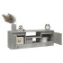 Mueble de TV con puerta gris hormigón 102x30x36