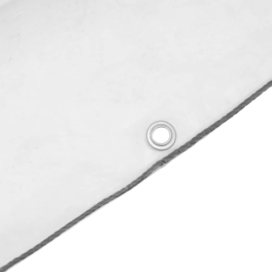 Lona transparente con ojales polietileno 6x6