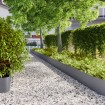 Bordes césped 10 uds antracita 25x103 cm acero laminado frío