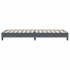 Cama box spring sin colchón gris oscuro terciopelo 90x220
