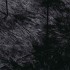 Alfombra peluda de pelo largo NAVARRA negra 240x240cm