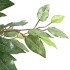 Árbol ficus artificial con 756 hojas verde 170