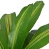 Planta de drácena artificial con maceta 90 cm