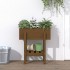 Jardinera madera maciza de pino marrón miel 62x30x69
