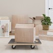 Carritos de transporte 2 uds rectangular 60x40x11,5 cm 250 kg