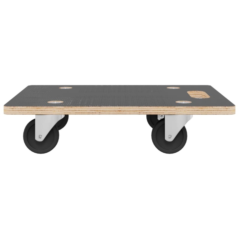 Carritos de transporte 2 uds rectangular 60x40x11,5 cm 250