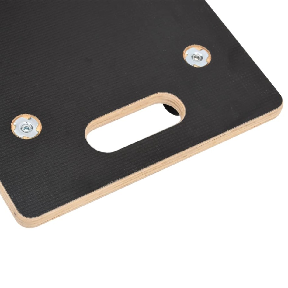 Carritos de transporte 2 uds rectangular 60x40x11,5 cm 250