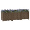 Arriate 120x40x38 cm polipropileno