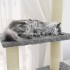 Rascador para gatos con postes de sisal gris claro 155