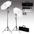 Kit de iluminación de estudio con trípodes y