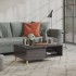 Mesa de centro madera contrachapada gris brillante 90x60x35