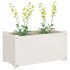 Jardineras 2 uds madera maciza de pino blanco 60x31x31