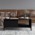 Mesa de centro madera contrachapada negro 90x50x36,5