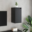 Armarios de pared 2 uds madera maciza de pino negro 30x30x60 cm