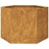 Jardinera hexagonal 69x60x45 cm acero