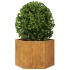 Jardinera hexagonal 69x60x45 cm acero