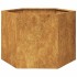 Jardinera hexagonal 69x60x45 cm acero