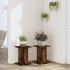 Soportes para plantas 2 uds madera roble ahumado 30x30x40